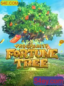 Descubra o Universo Fascinante de ProsperityFortuneTree